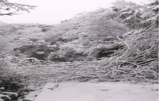 戰(zhàn)暴雪、保供電！湖南發(fā)展鳥兒巢公司應(yīng)對極端天氣緊急搶修失電故障
